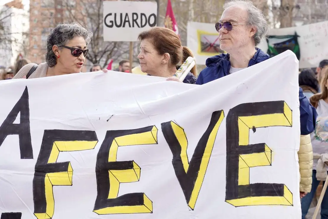 Manifestaci&oacute;n en defensa de Feve este domingo en las calles de la ciudad de Le&oacute;n. / CAMPILLO / ICAL