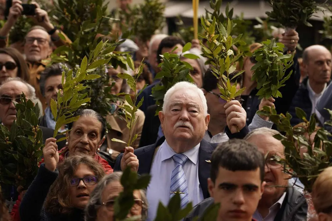 Procesi&oacute;n del Domingo de Ramos en Ponferrada 2025. / C&Eacute;SAR S&Aacute;NCHEZ / ICAL