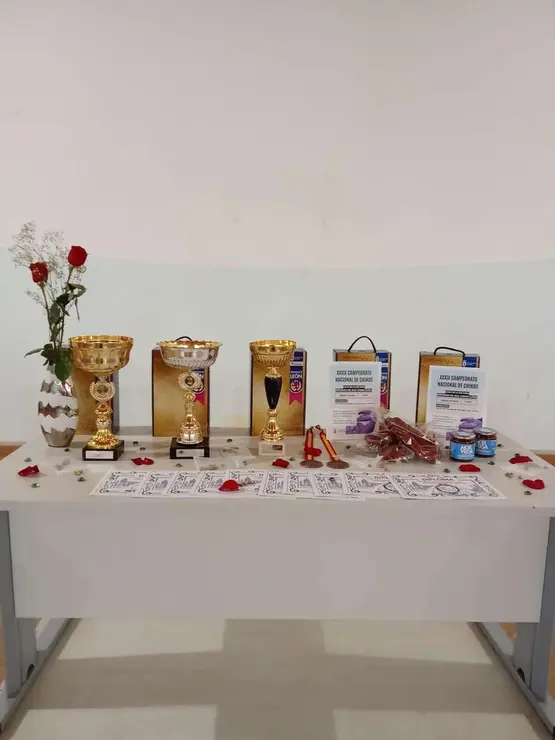 Bercianos del Real Camino acogi&oacute; este s&aacute;bado el 39&ordm; Campeonato Nacional del Juego de los Chinos. / LE&Oacute;N24HORAS