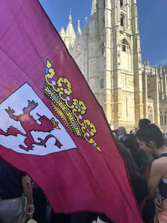 Fotograf&iacute;as de la manifestaci&oacute;n en Le&oacute;n contra la gesti&oacute;n de los incendios. Im&aacute;genes: Hugo Garc&iacute;a Gonz&aacute;lez | Le&oacute;n 24 Horas