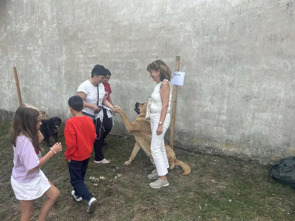 Vecinos y visitantes disfrutaron de la feria ganadera y los actos del Cristo de Valdelugueros 2025. Le&oacute;n 24 horas.