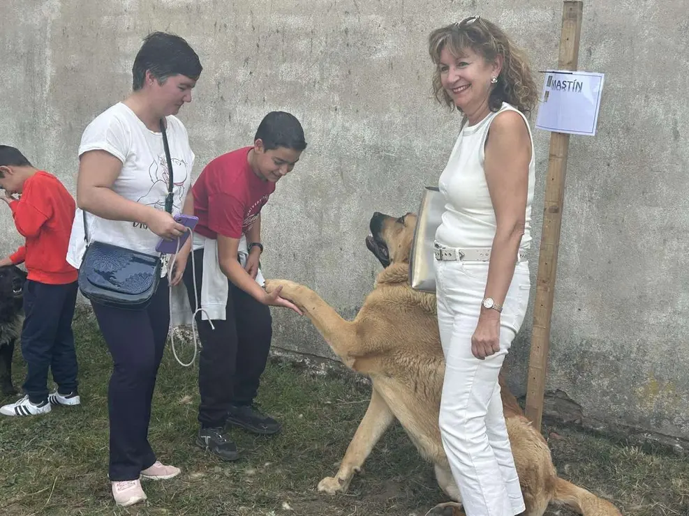 Vecinos y visitantes disfrutaron de la feria ganadera y los actos del Cristo de Valdelugueros 2025. Le&oacute;n 24 horas.