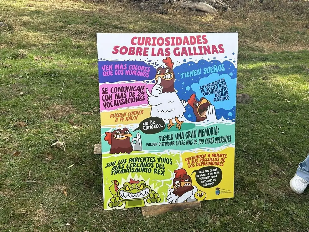 Vecinos y visitantes disfrutaron de la feria ganadera y los actos del Cristo de Valdelugueros 2025. Le&oacute;n 24 horas.