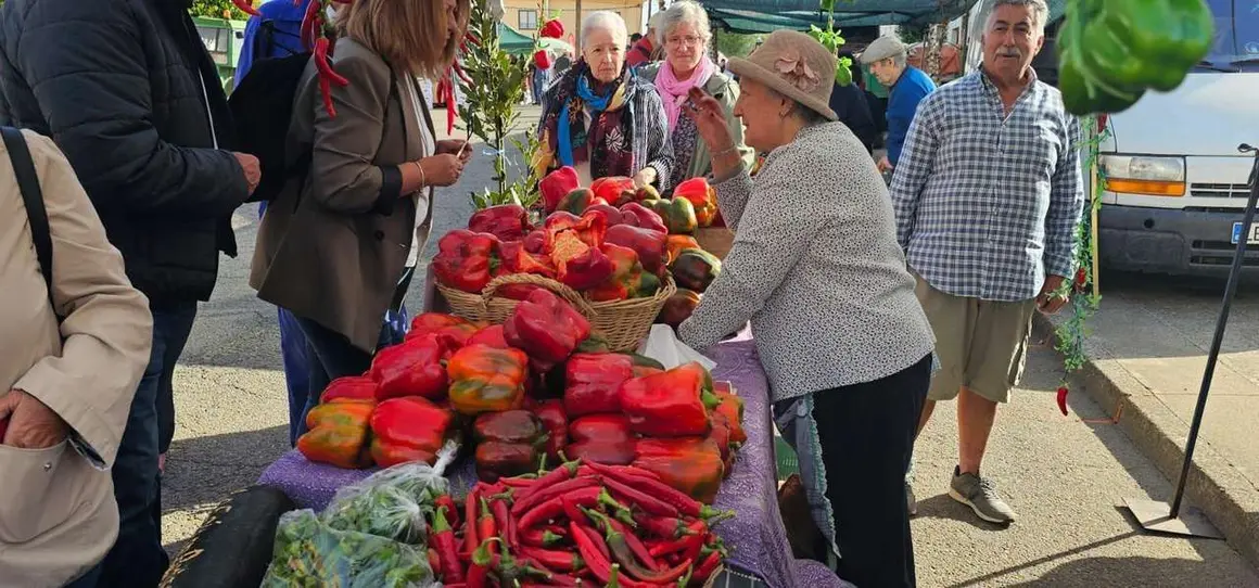 Ambiente en la 40&ordf; Feria del Pimiento Morr&oacute;n de Fresno de la Vega, donde los pimientos y la gastronom&iacute;a fueron protagonistas.
