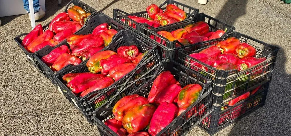 La Feria del Pimiento Morr&oacute;n de Fresno de la Vega, una cita anual imprescindible.