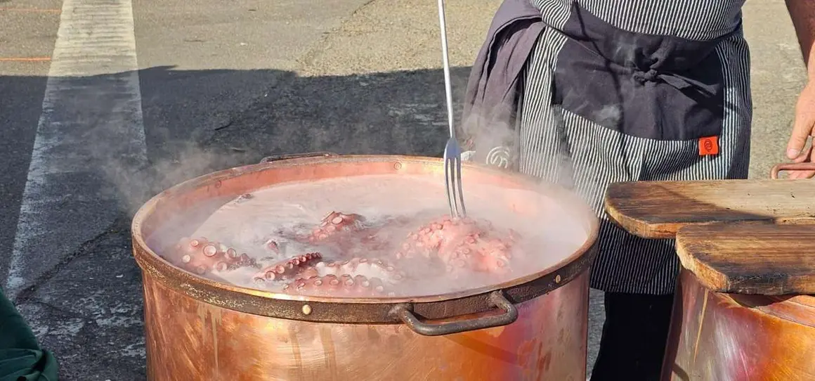 Ambiente en la 40&ordf; Feria del Pimiento Morr&oacute;n de Fresno de la Vega, donde los pimientos y la gastronom&iacute;a fueron protagonistas.