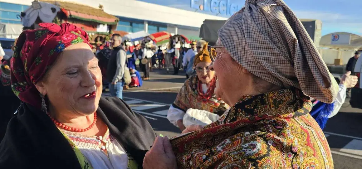 Pendones, carros y romeros participaron un a&ntilde;o m&aacute;s en la romer&iacute;a de San Froil&aacute;n | Le&oacute;n 24 Horas