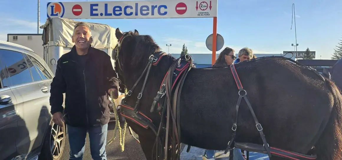 Pendones, carros y romeros participaron un a&ntilde;o m&aacute;s en la romer&iacute;a de San Froil&aacute;n | Le&oacute;n 24 Horas