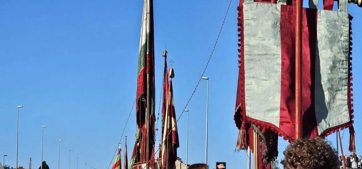 Pendones, carros y romeros participaron un a&ntilde;o m&aacute;s en la romer&iacute;a de San Froil&aacute;n | Le&oacute;n 24 Horas