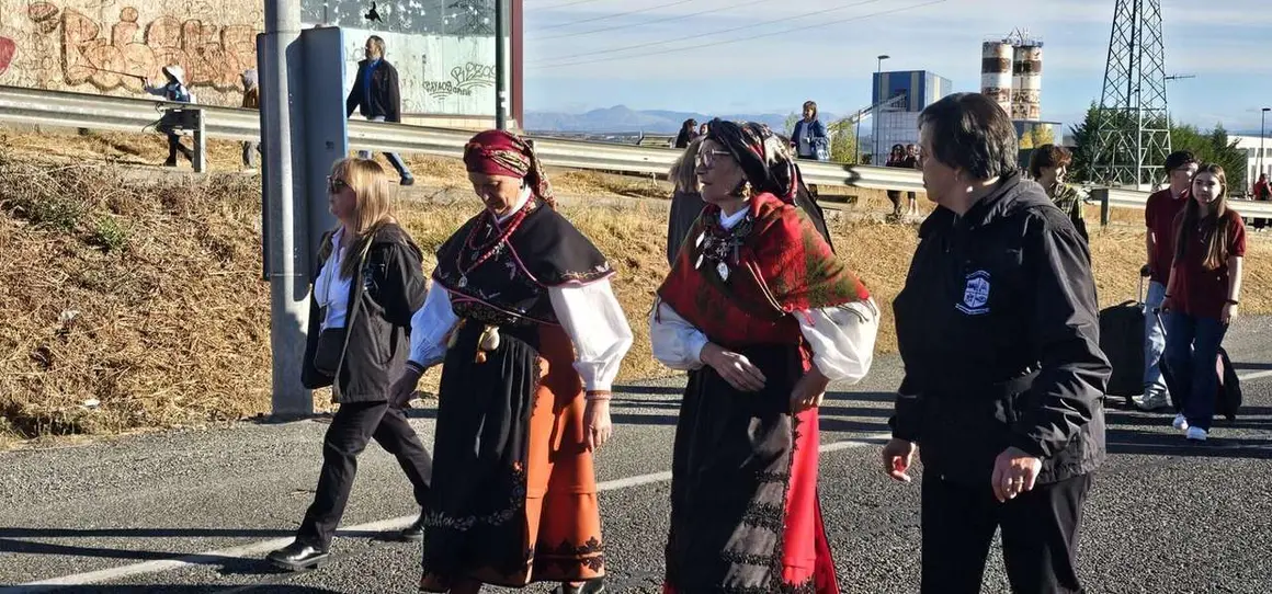Pendones, carros y romeros participaron un a&ntilde;o m&aacute;s en la romer&iacute;a de San Froil&aacute;n | Le&oacute;n 24 Horas