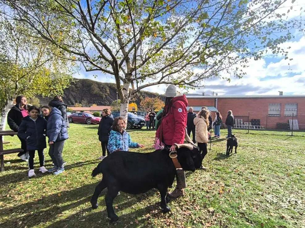 Feria de la Cecina de Chivo de Vegacervera 2025. Le&oacute;n 24 horas.