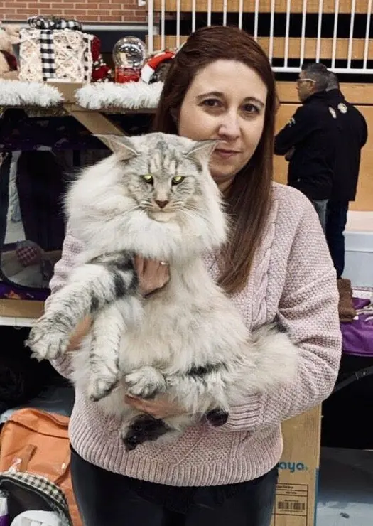 Exposici&oacute;n Internacional Felina. Ayuntamiento de San Andr&eacute;s del Rabanedo.