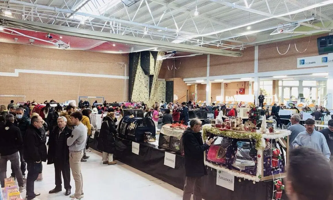 Exposici&oacute;n Internacional Felina. Ayuntamiento de San Andr&eacute;s del Rabanedo.