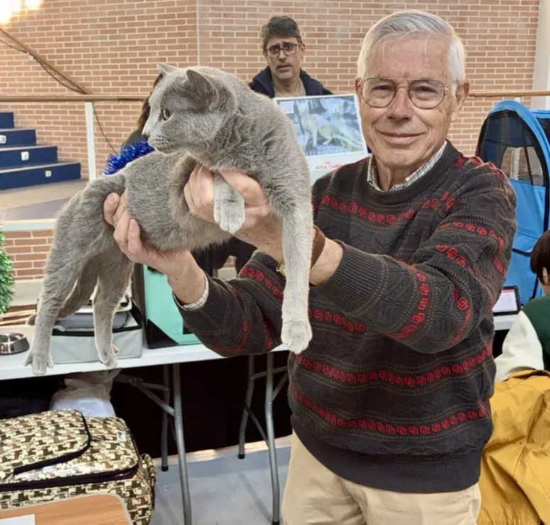 Exposici&oacute;n Internacional Felina. Ayuntamiento de San Andr&eacute;s del Rabanedo.