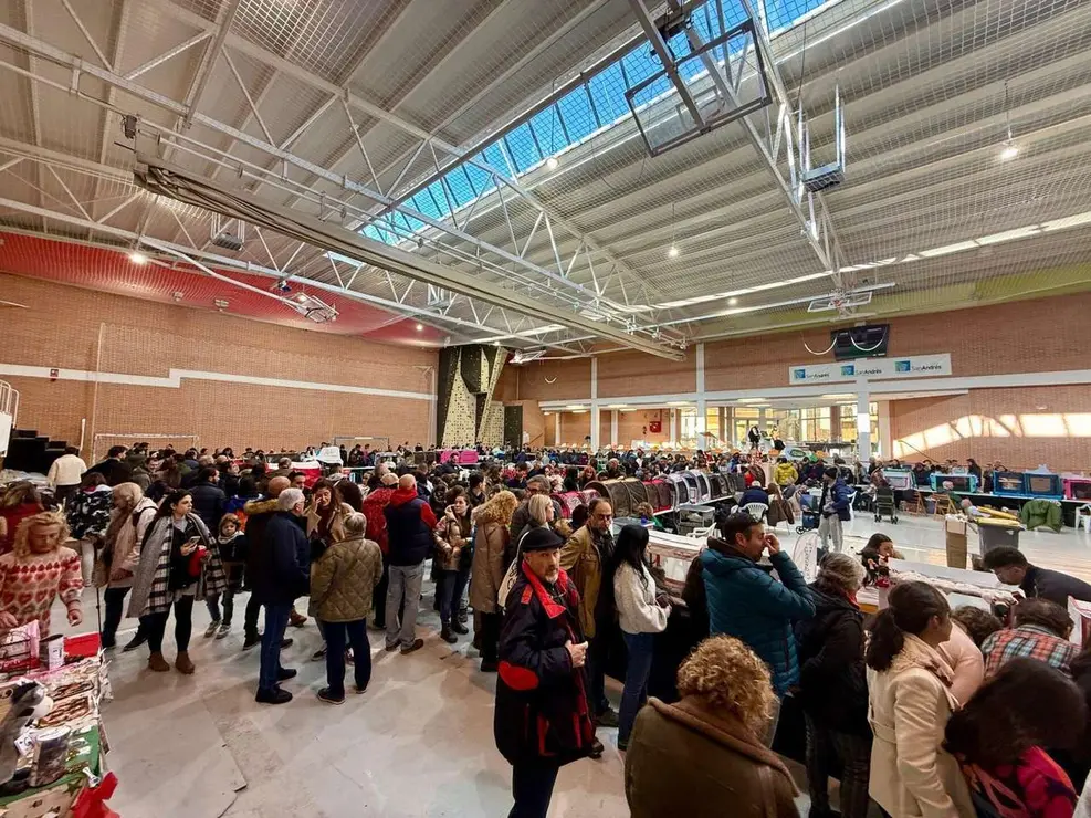 Exposici&oacute;n Felina Internacional. Ayuntamiento de San Andr&eacute;s del Rabanedo.