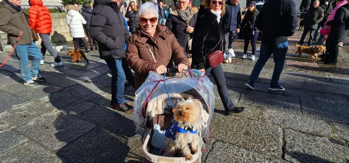 Bendici&oacute;n de mascotas por San Ant&oacute;n en el entorno de San Marcelo, este domingo en el centro de Le&oacute;n. Foto: Le&oacute;n 24 Horas