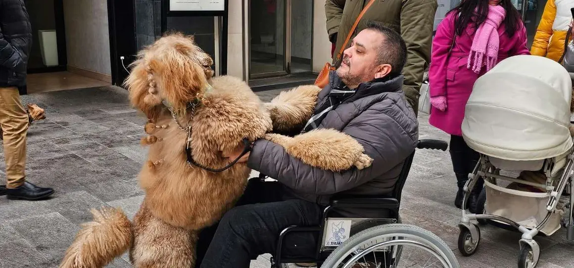 Bendici&oacute;n de mascotas por San Ant&oacute;n en el entorno de San Marcelo, este domingo en el centro de Le&oacute;n. Foto: Le&oacute;n 24 Horas