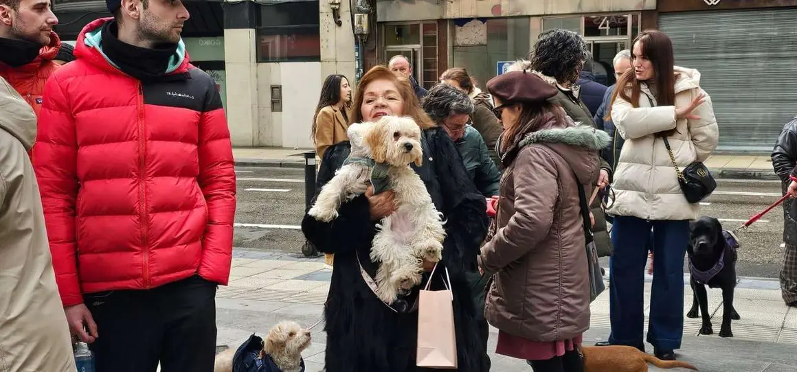 Bendici&oacute;n de mascotas por San Ant&oacute;n en el entorno de San Marcelo, este domingo en el centro de Le&oacute;n. Foto: Le&oacute;n 24 Horas