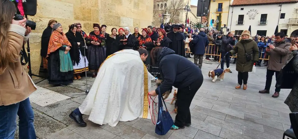 Bendici&oacute;n de mascotas por San Ant&oacute;n en el entorno de San Marcelo, este domingo en el centro de Le&oacute;n. Foto: Le&oacute;n 24 Horas
