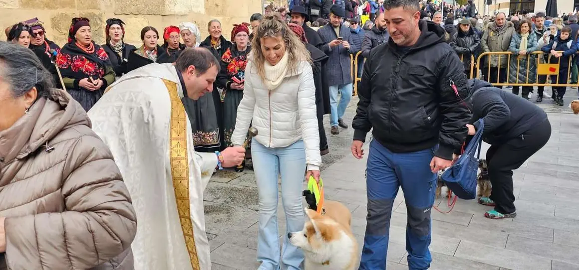 Bendici&oacute;n de mascotas por San Ant&oacute;n en el entorno de San Marcelo, este domingo en el centro de Le&oacute;n. Foto: Le&oacute;n 24 Horas