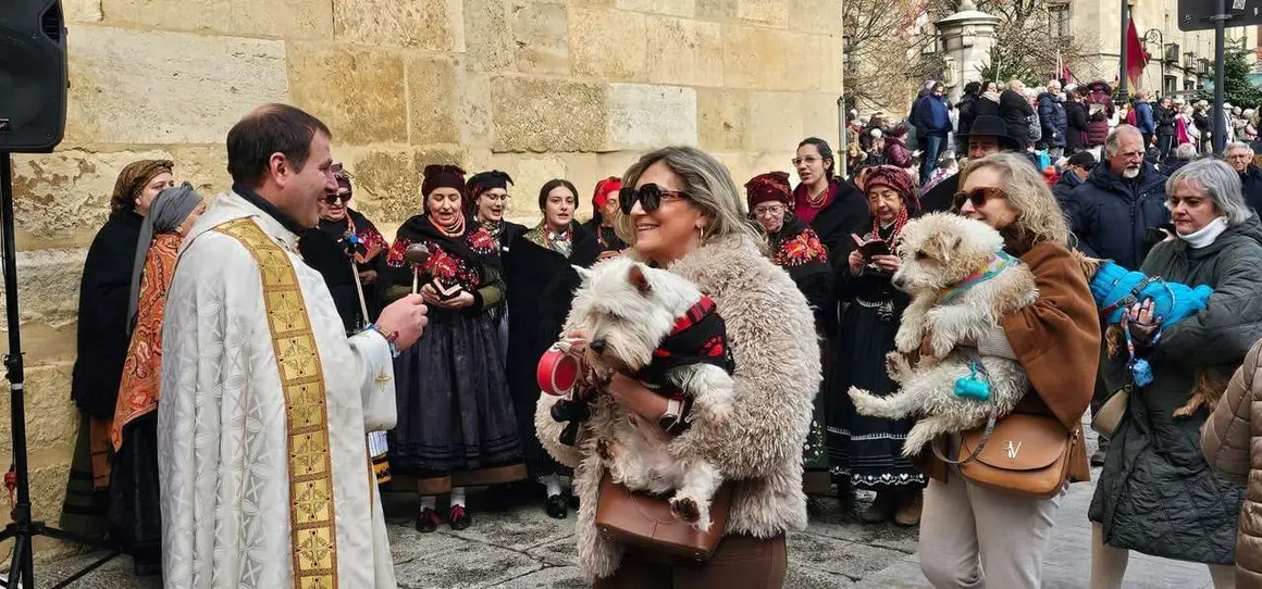 Bendici&oacute;n de mascotas por San Ant&oacute;n en el entorno de San Marcelo, este domingo en el centro de Le&oacute;n. Foto: Le&oacute;n 24 Horas
