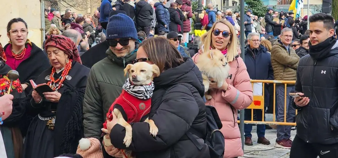 Bendici&oacute;n de mascotas por San Ant&oacute;n en el entorno de San Marcelo, este domingo en el centro de Le&oacute;n. Foto: Le&oacute;n 24 Horas