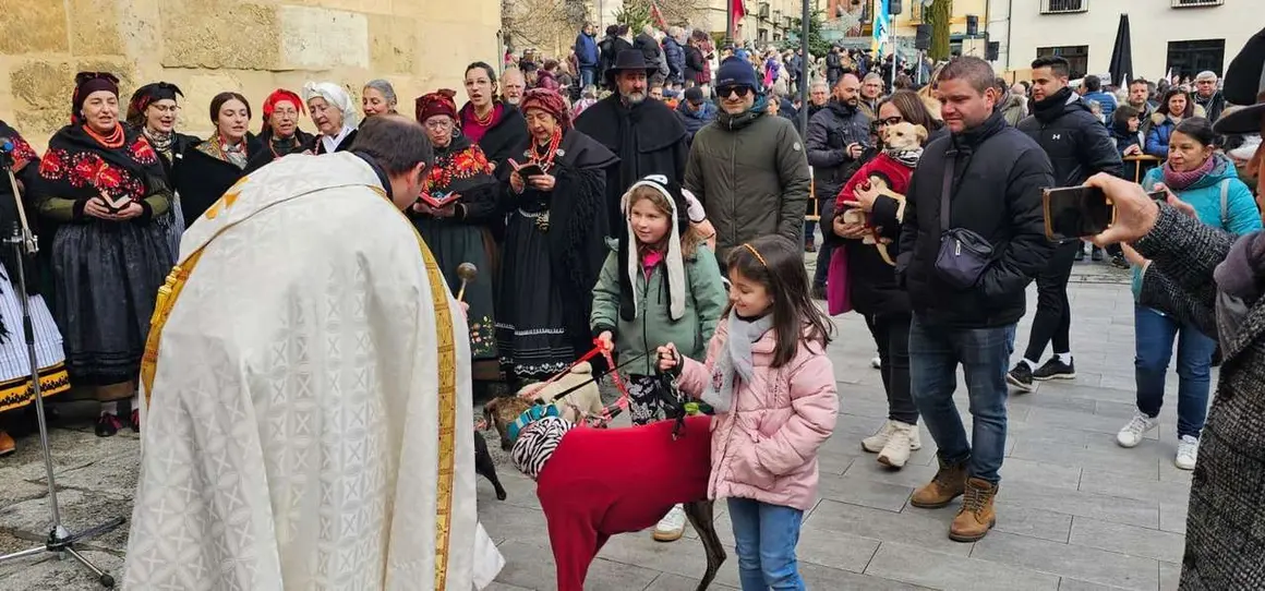 Bendici&oacute;n de mascotas por San Ant&oacute;n en el entorno de San Marcelo, este domingo en el centro de Le&oacute;n. Foto: Le&oacute;n 24 Horas