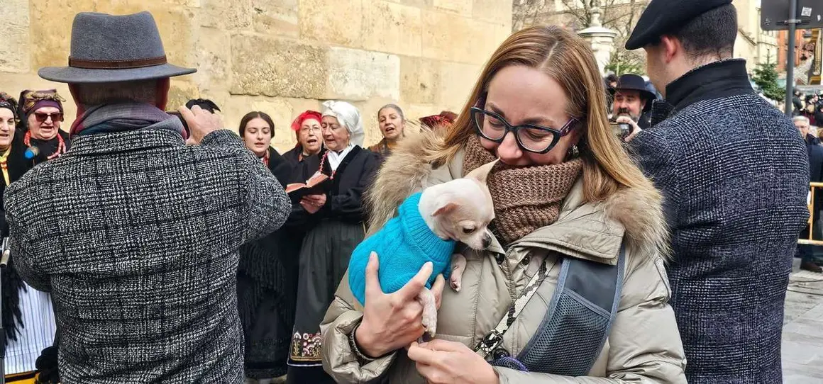 Bendici&oacute;n de mascotas por San Ant&oacute;n en el entorno de San Marcelo, este domingo en el centro de Le&oacute;n. Foto: Le&oacute;n 24 Horas