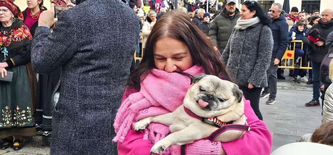 Bendici&oacute;n de mascotas por San Ant&oacute;n en el entorno de San Marcelo, este domingo en el centro de Le&oacute;n. Foto: Le&oacute;n 24 Horas