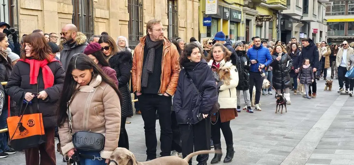 Bendici&oacute;n de mascotas por San Ant&oacute;n en el entorno de San Marcelo, este domingo en el centro de Le&oacute;n. Foto: Le&oacute;n 24 Horas