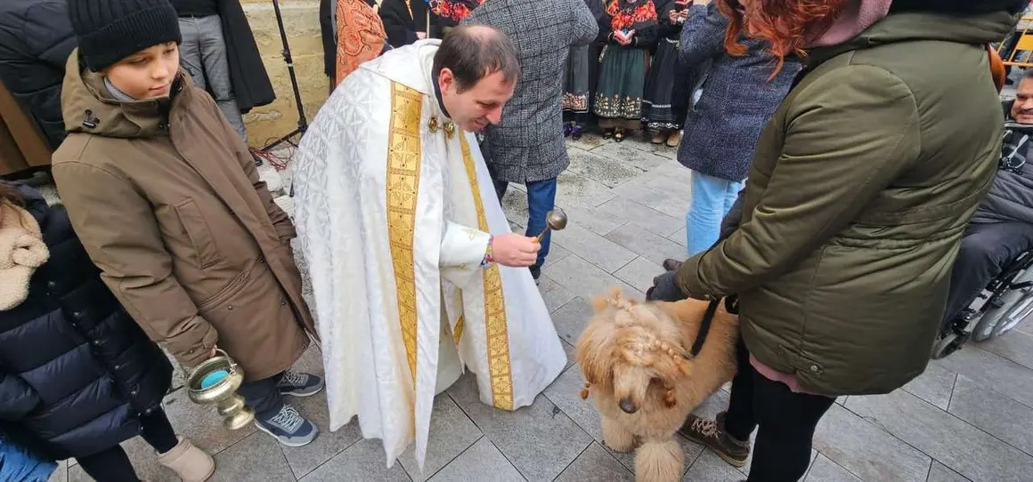 Bendici&oacute;n de mascotas por San Ant&oacute;n en el entorno de San Marcelo, este domingo en el centro de Le&oacute;n. Foto: Le&oacute;n 24 Horas