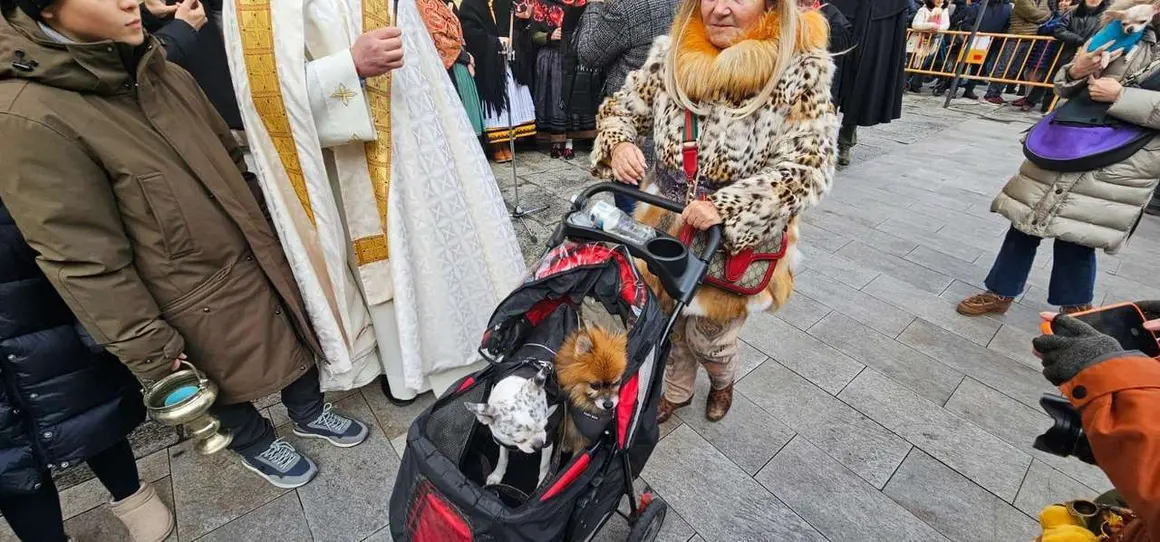 Bendici&oacute;n de mascotas por San Ant&oacute;n en el entorno de San Marcelo, este domingo en el centro de Le&oacute;n. Foto: Le&oacute;n 24 Horas