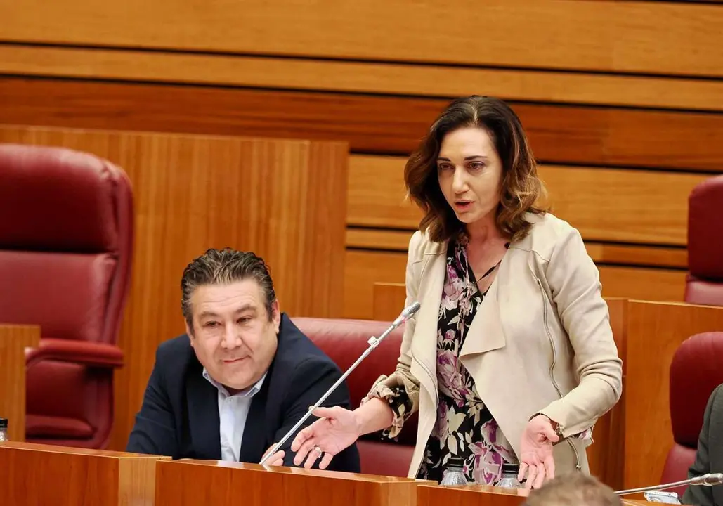 La procuradora de UPL, Alicia Gallego