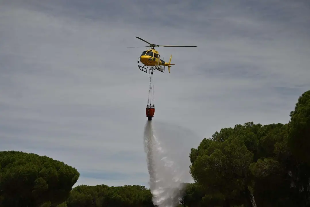 Imagen de archivo - Incendio Forestal