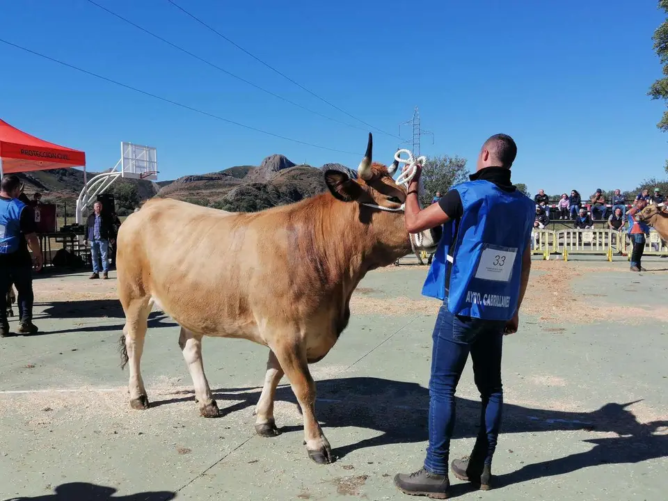 Feria de la Asturiana de los Valles en Cabrillanes