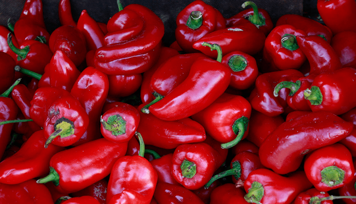 Pimientos de la Indicaci&oacute;n Geogr&aacute;fica Protegida (IGP) &lsquo;Pimiento Asado del Bierzo&rsquo;.