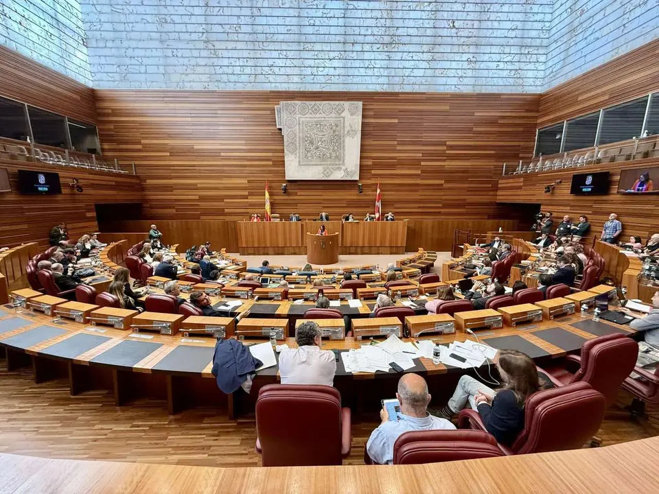 Pleno de las Cortes de Castilla y Le&oacute;n. Leticia P&eacute;rez. ICAL. 
