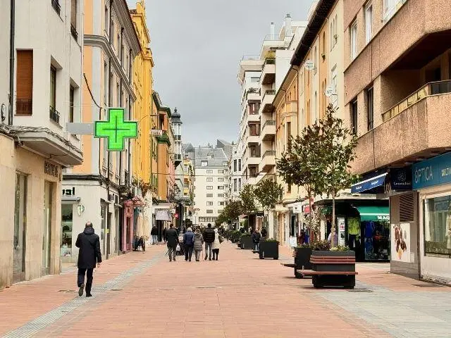 Calle Gil y Carrasco. Peatonal. Ayuntamiento de Le&oacute;n.