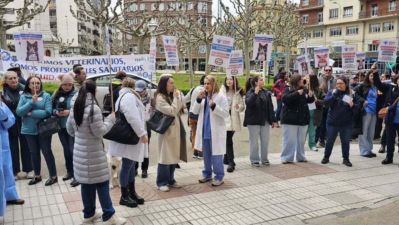 Concentraci&oacute;n de los veterinarios de Le&oacute;n frente a la Subdelegaci&oacute;n del Gobierno