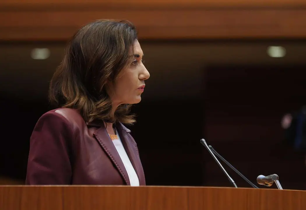 La procuradora de UPL, Alicia Gallego 