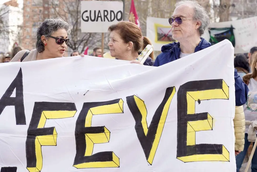 Manifestaci&oacute;n en defensa de Feve este domingo en las calles de la ciudad de Le&oacute;n. / CAMPILLO / ICAL