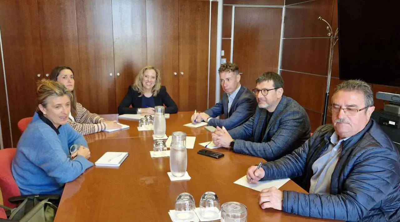 Reuni&oacute;n para la investigaci&oacute;n del accidente de la mina de Asturias. De izquierda a derecha, la secretaria general de la Asociaci&oacute;n de Municipios en Transici&oacute;n, Carolina Morilla; la alcaldesa de Ibias, Gema &Aacute;lvarez; la consejera de Transici&oacute;n Ecol&oacute;gica, Industria y Comercio del Principado de Asturias, Belarmina D&iacute;az; el alcalde de Villablino, Mario Rivas; el alcalde de Torre del Bierzo, Gabriel Folgado; y el teniente de alcalde de Cerredo, Luciano Villanueva.