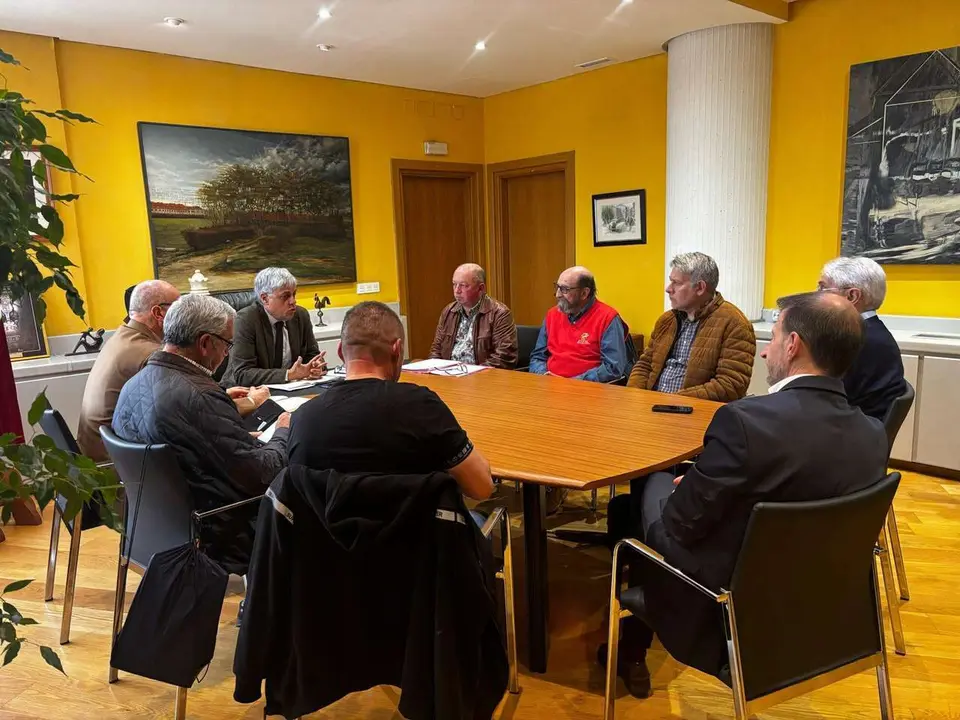 Reuni&oacute;n del delegado de la Junta con la Plataforma M&aacute;s Vuelos