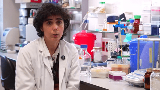 La investigadora de la ULE, Mar&iacute;a Luisa del R&iacute;o Gonz&aacute;lez