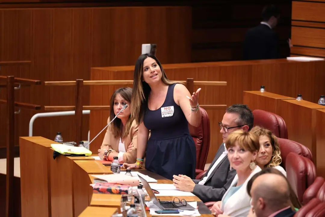 Imagen GPS Cortes CyL. Nuria Rubio durante su intervenci&oacute;n