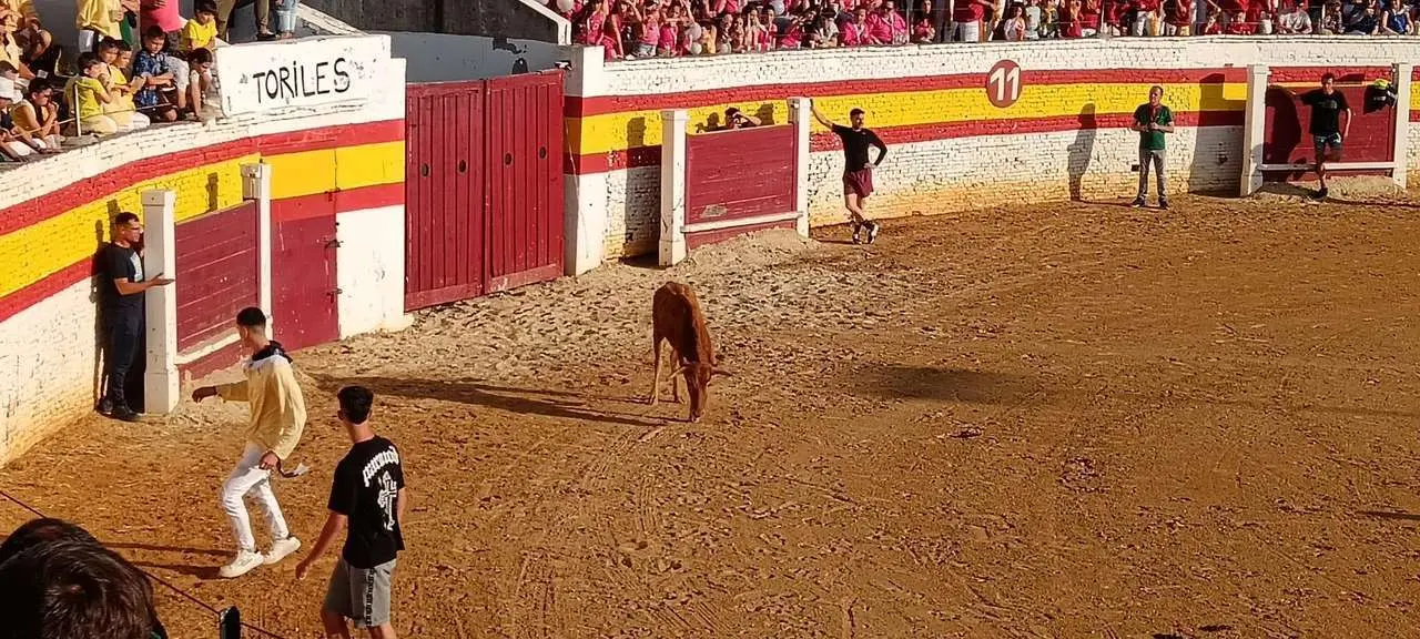 Una fiesta taurina en Sahag&uacute;n. | LE&Oacute;N24HORAS