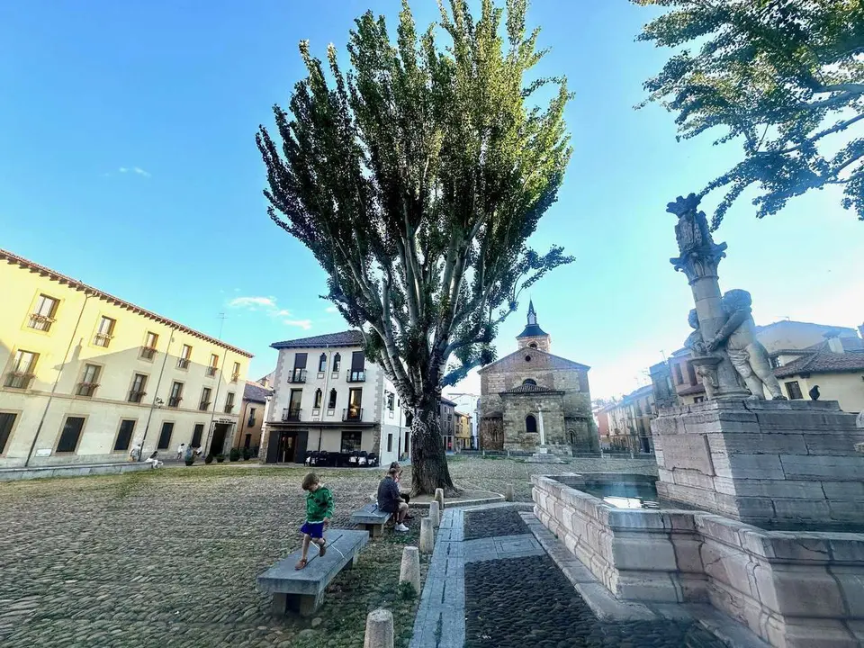 El restaurante La &Uacute;nica, en la Plaza del Grano, acoge un ronqueo de at&uacute;n rojo que dar&aacute; paso a sus jornadas gastron&oacute;micas. | SM