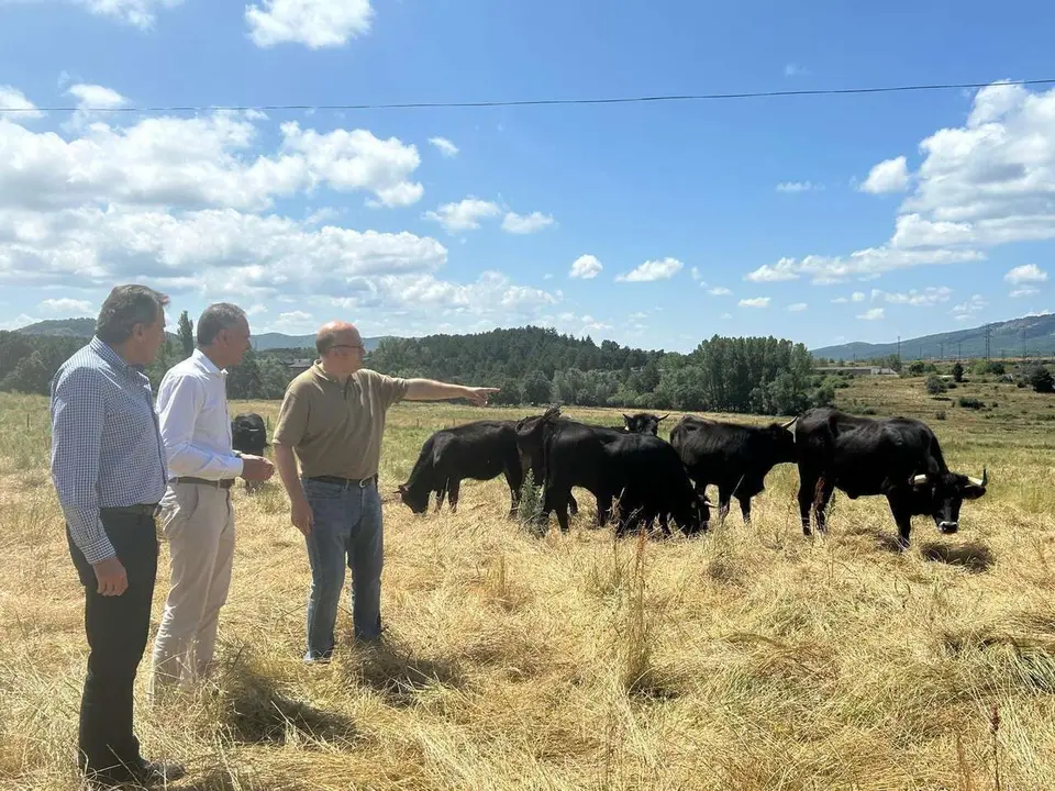 El director general de Producci&oacute;n Agr&iacute;cola y Ganadera, Rub&eacute;n Serrano, visita el Centro de Selecci&oacute;n y Reproducci&oacute;n Animal de Le&oacute;n (CENSYRA), que, dependiente de la Consejer&iacute;a de Agricultura, Ganader&iacute;a y Desarrollo Rural de la Junta de Castilla y Le&oacute;n, se establece como una infraestructura esencial para el futuro de la ganader&iacute;a auton&oacute;mica