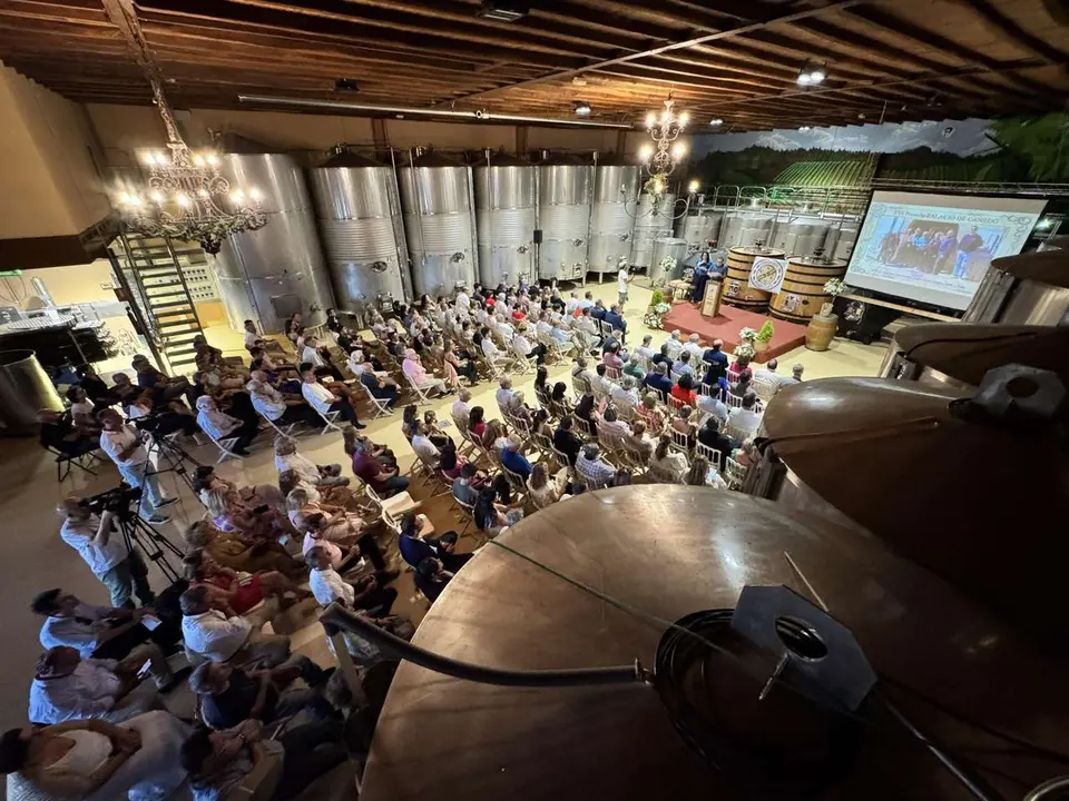 Premios Palacio de Canedo 2025.