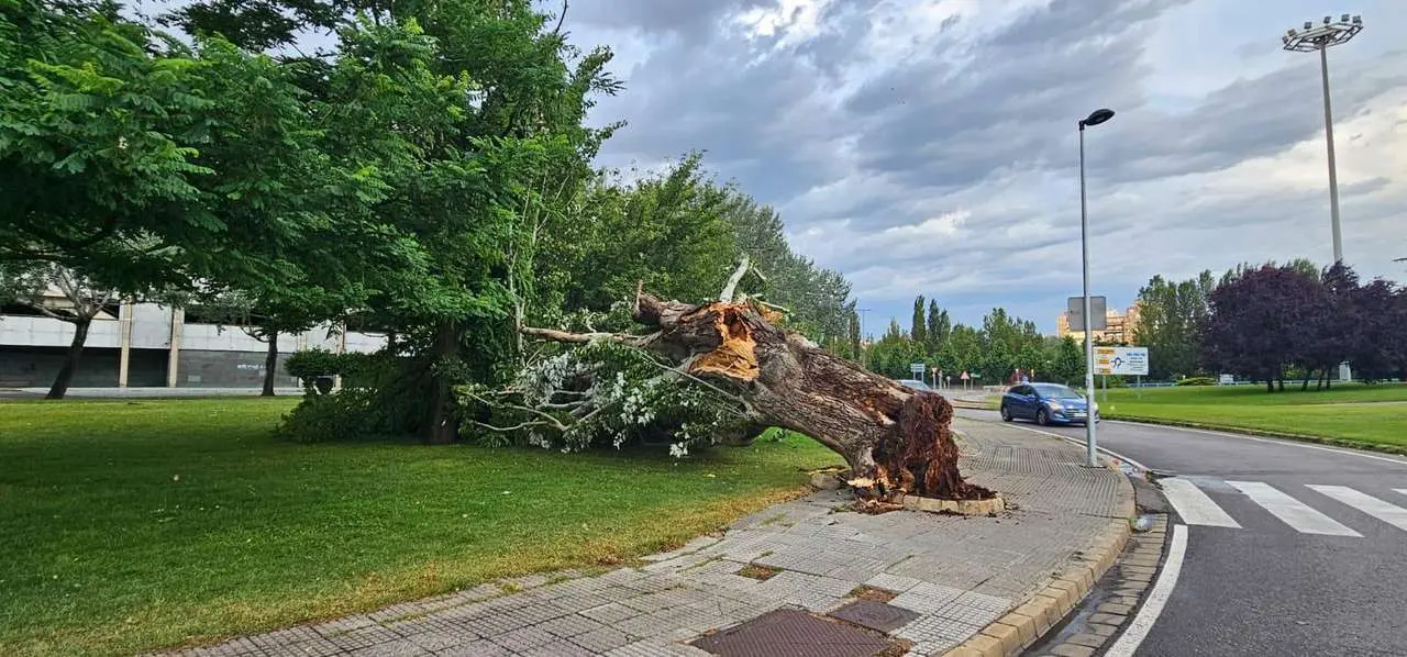 Las tormentas podr&iacute;an repetirse este viernes y s&aacute;bado.
